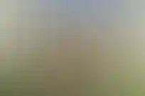 امام صادق