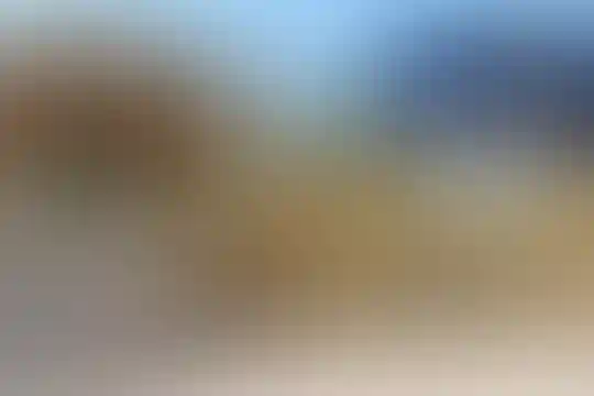 شهید دستغیب 1