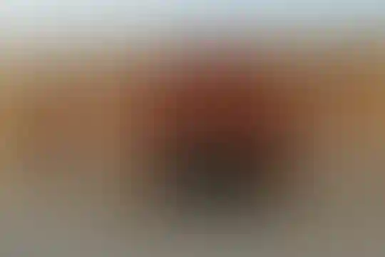 ائمه مظلوم بقیع