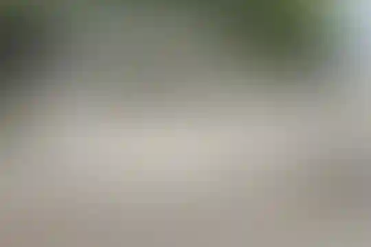 شهید رمضان نیا