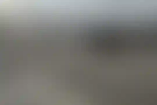 شهید رمضان نیا