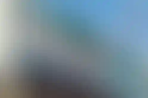 محمد رسول اله