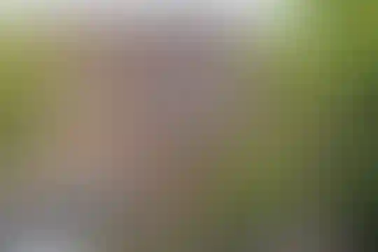 آیت الله طالقانی