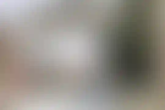 شهید اکبر محبی