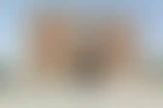 مهر امام علی