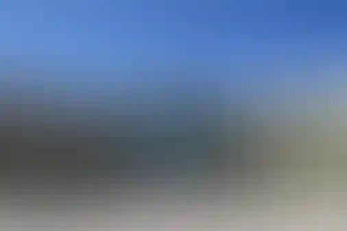 امام رضا واحد 11