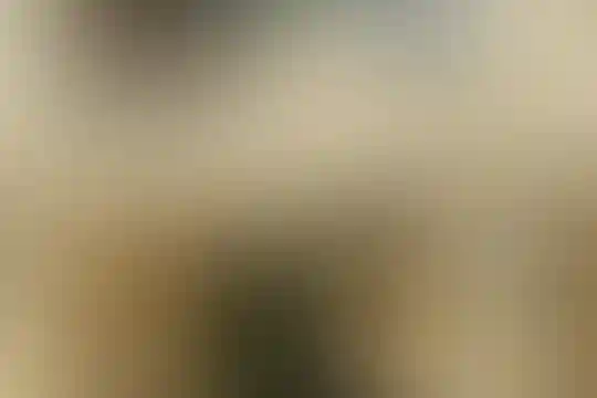 لالههای اروند