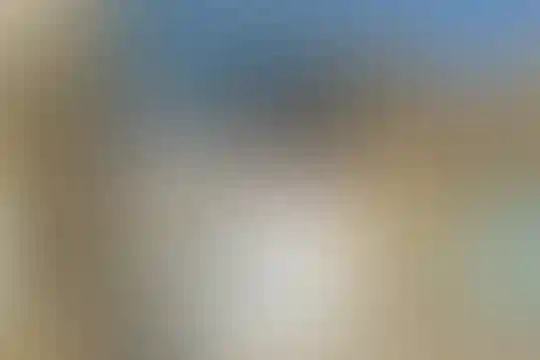 معلم شهید امیر طلائی