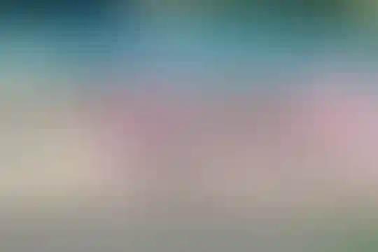 شهید یزدانیار