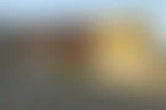 شهید یزدانیار
