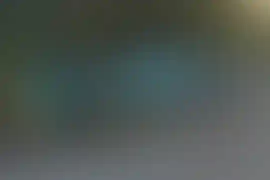 شهید یزدانیار