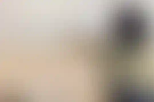 پیشگامان صبا