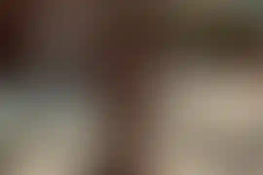 پیشگامان صبا
