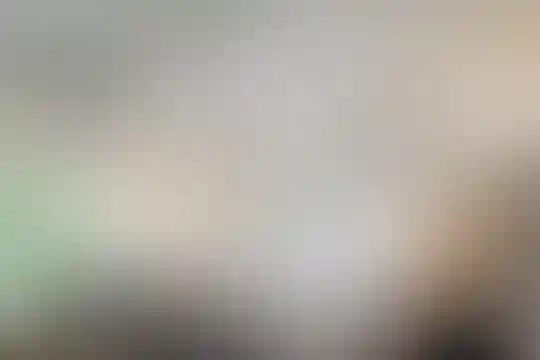 پیشگامان صبا
