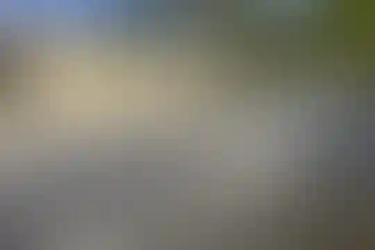 ادیب 1