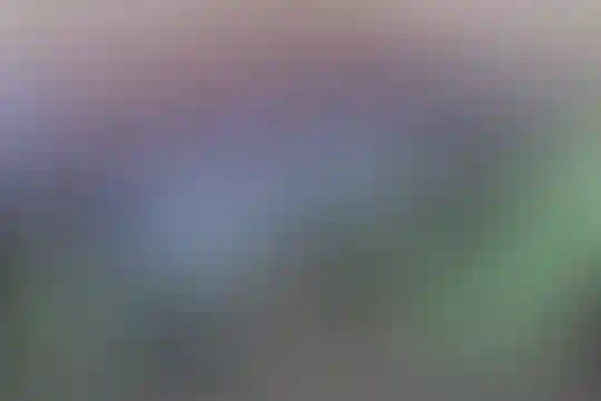 شهید بهشتی 2