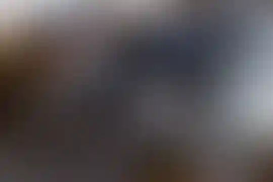 شهید بهشتی 2