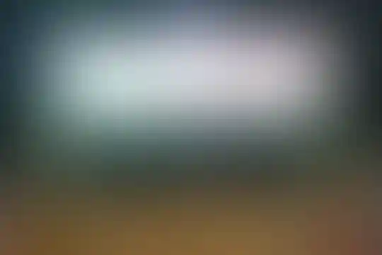 بنی فاطمه