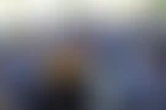 فرهنگ رسولیان