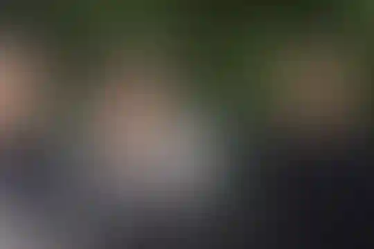 دهخدا