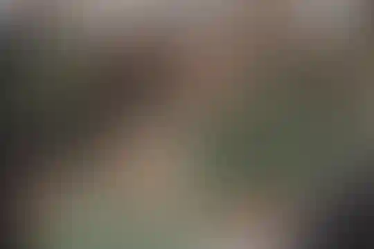 دهخدا