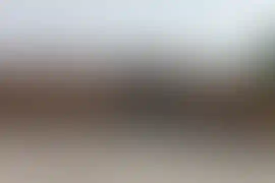 نور تلوری