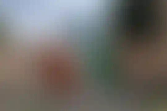 نور تلوری