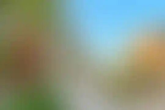 پیام
