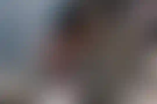 شهداء 34