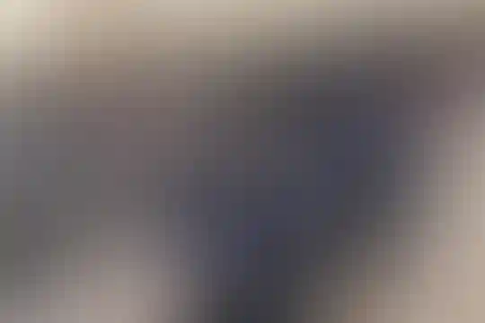 شهداء 34