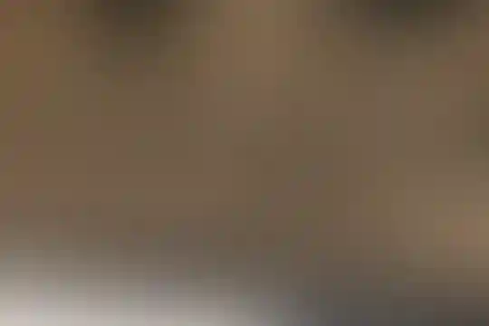 شهداء 34