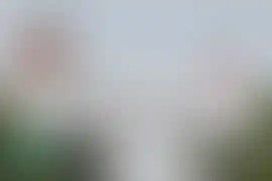 شهداء 34