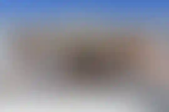 شهید بهشتی