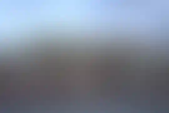 نور دانش
