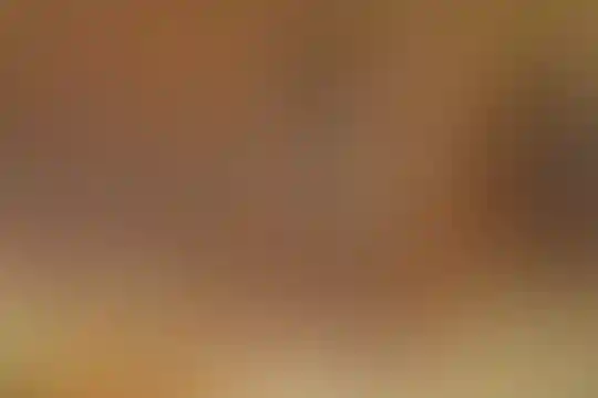 فرزانگان امین 2 (نژاد ستاری)