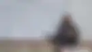سرعت متوسط متحرک در حرکت بر خط راست