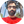 عرفان عسکریان