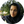 زهرا شهلائی