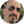 مسلم صامت