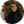 شیرین قاسمی