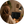 فاطمه زارعی نژاد