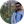 محمد میرشمسی
