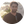 احسان شفیعی