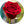 هدی دولتشاهی