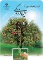آموزش خانواده - آموزش ازدواج