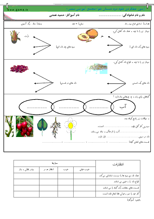 ازمون عملکردی علوم دوم دبستان | شناسایی انواع میوه و دانه