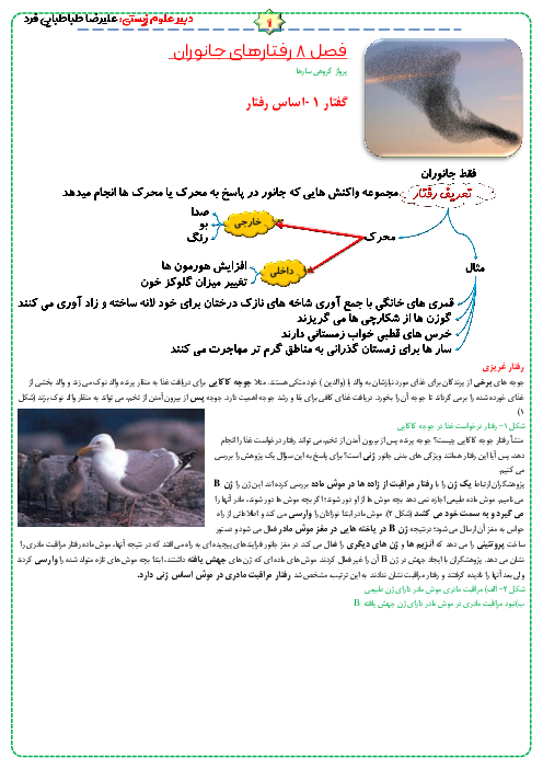 مایند مپ (نمودار درختی) زیست شناسی دوازدهم |  فصل 8: رفتارهای جانوران