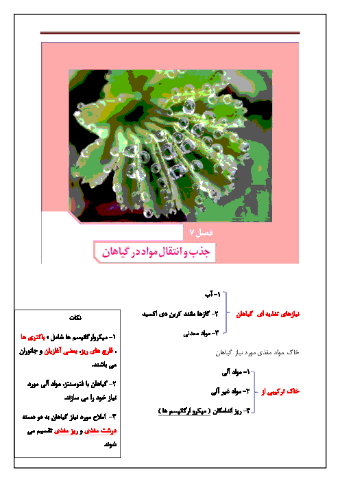 جزوه جمع‌بندی زیست شناسی (1) دهم رشته تجربی | فصل هفتم: جذب و انتقال مواد در گیاهان