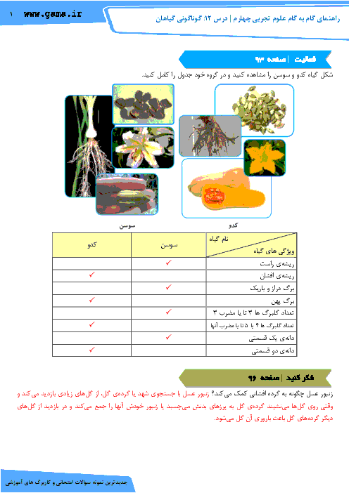 راهنمای گام به گام علوم تجربی چهارم | درس 12: گوناگونی گیاهان
