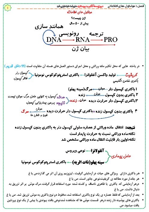 مایند مپ (نمودار درختی) زیست شناسی دوازدهم |  فصل 1: مولکول‌های اطلاعاتی